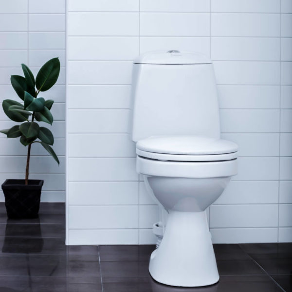 EcoFlush-Toilet
