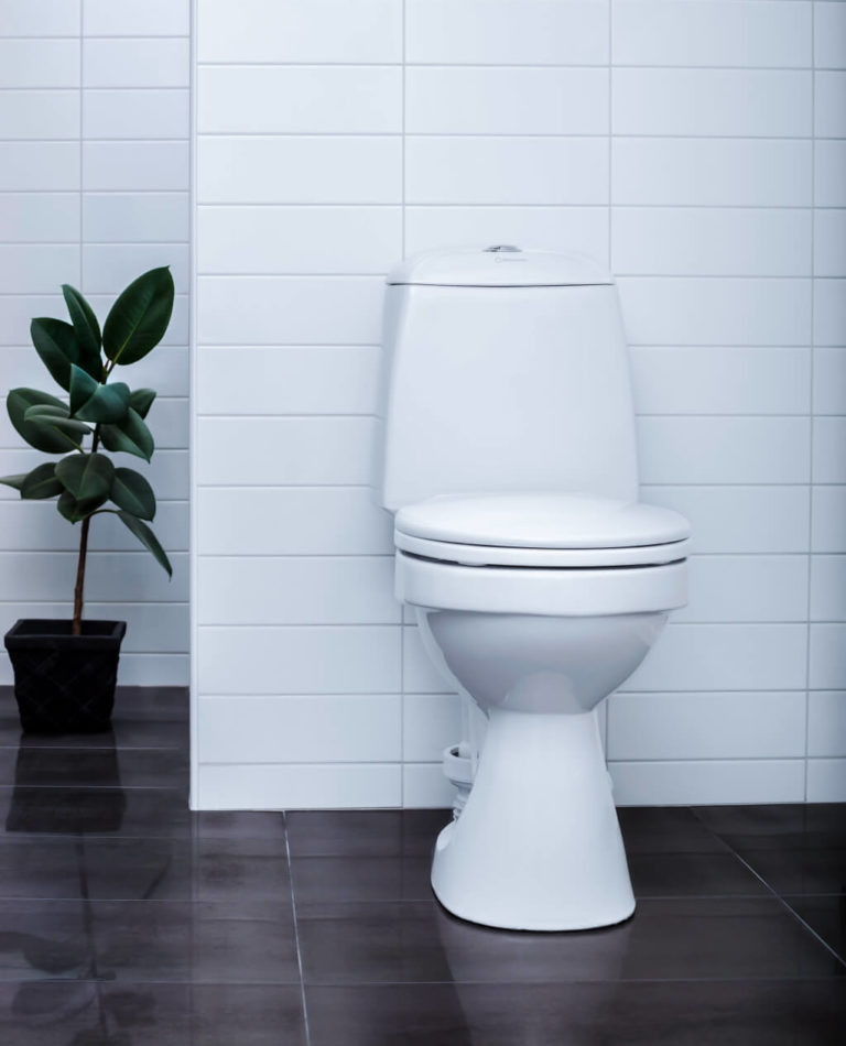 Wostman EcoFlush Toilet Scandinavian Water Saving Products