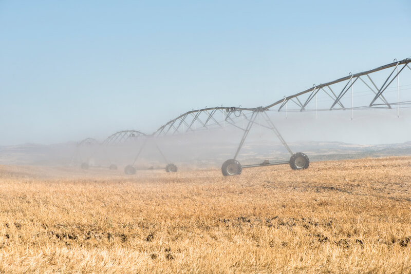 save water south africa