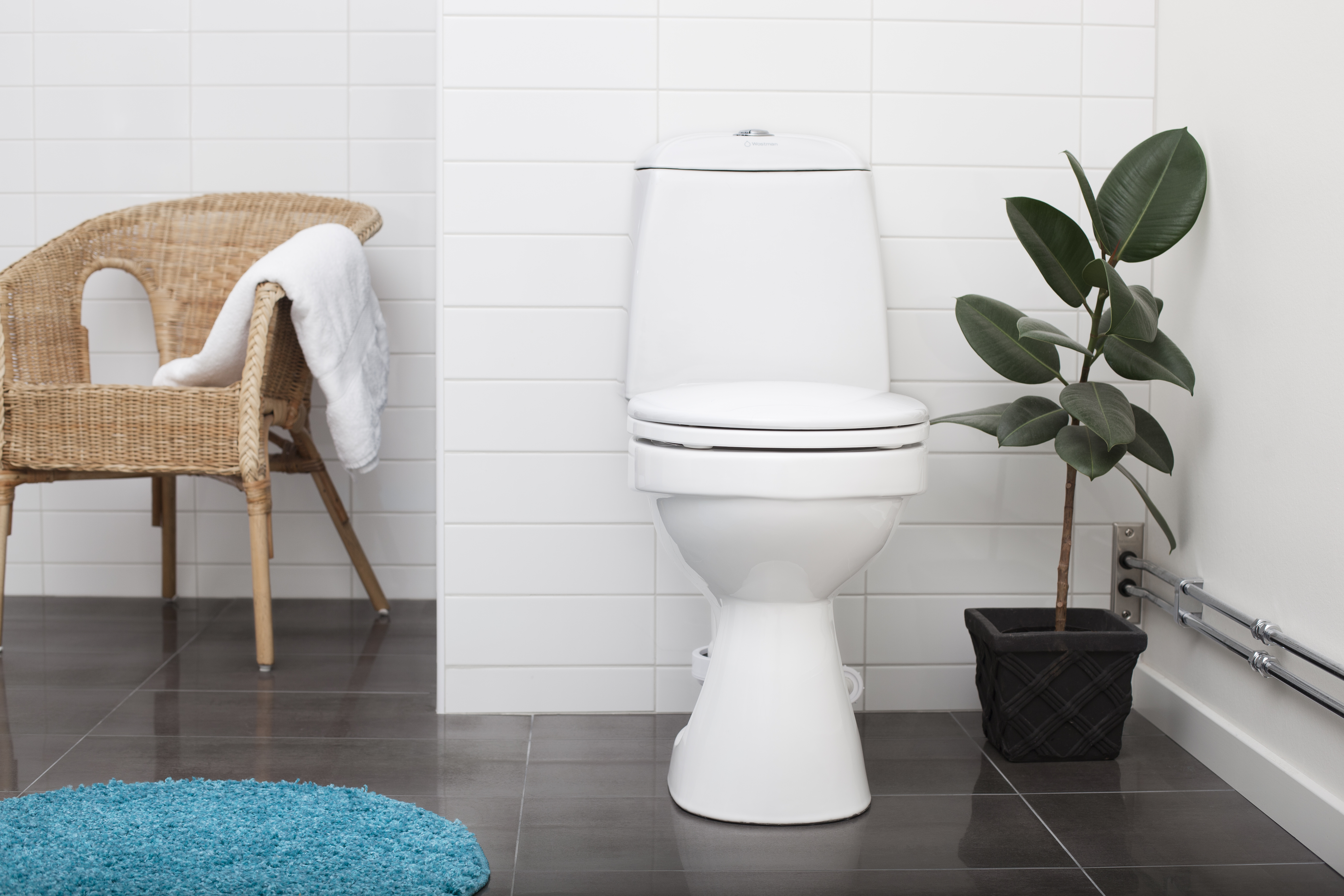 eco flush toilet in a bathroom 