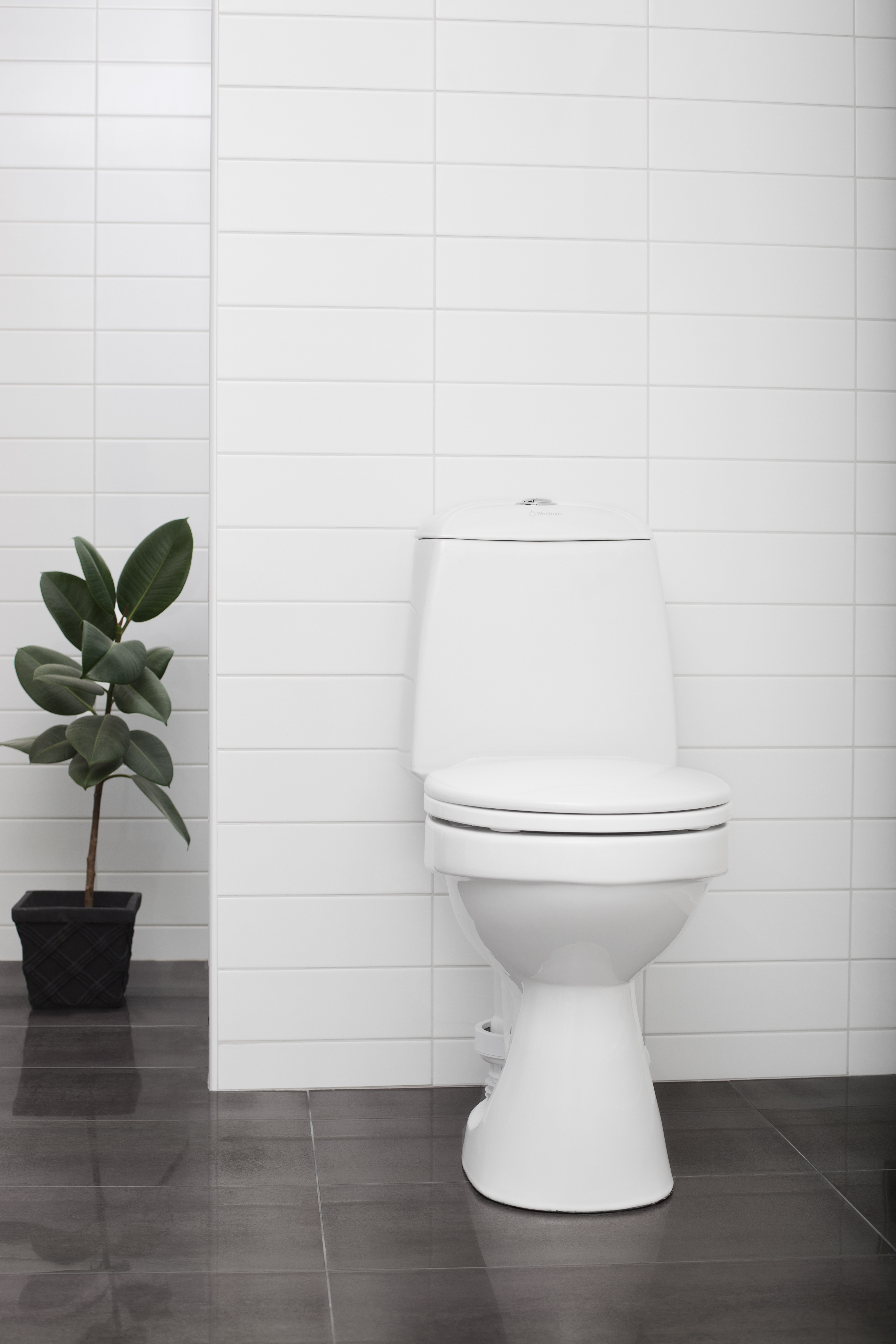 Wostman eco-flush toilet in a white walled bathroom and plant