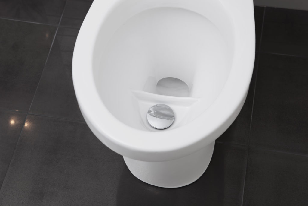 20 Things You've Been Dying to Know About the Eco Flush Toilet